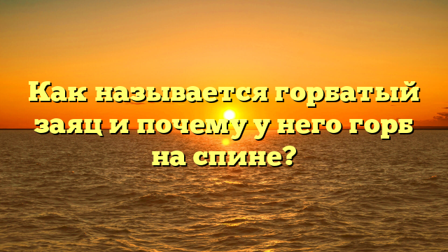 Как называется горбатый заяц и почему у него горб на спине?