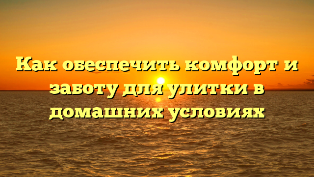 Как обеспечить комфорт и заботу для улитки в домашних условиях