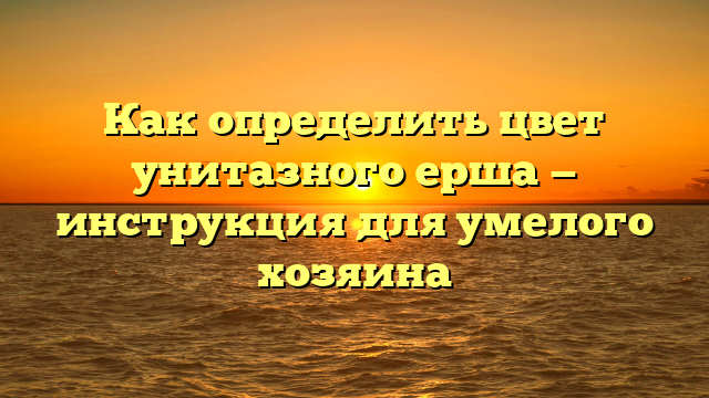 Как определить цвет унитазного ерша — инструкция для умелого хозяина