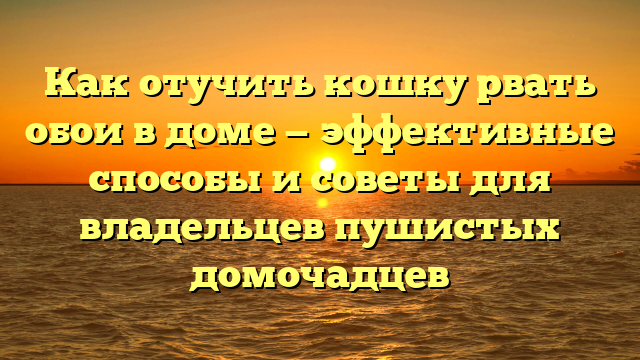 Как отучить кошку рвать обои в доме — эффективные способы и советы для владельцев пушистых домочадцев