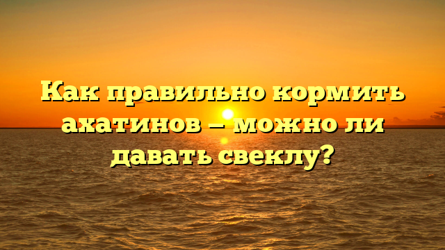 Как правильно кормить ахатинов — можно ли давать свеклу?