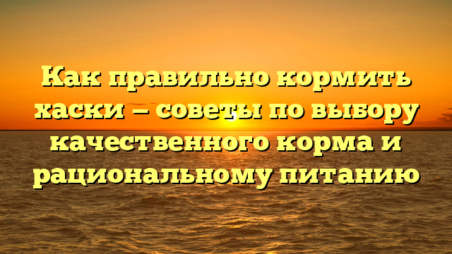 Как правильно кормить хаски — советы по выбору качественного корма и рациональному питанию