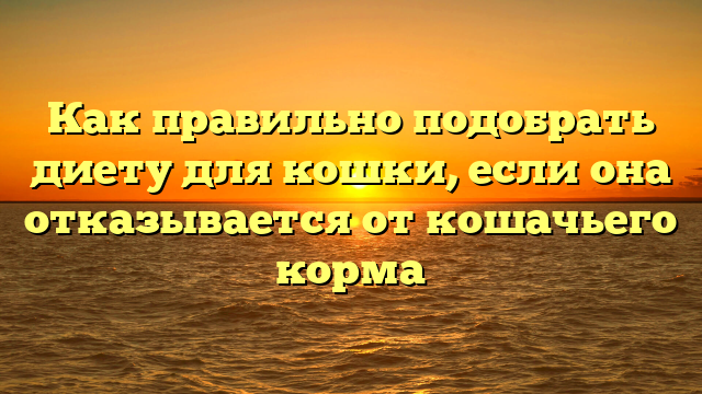 Как правильно подобрать диету для кошки, если она отказывается от кошачьего корма