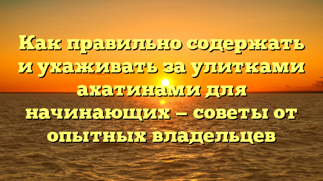 Как правильно содержать и ухаживать за улитками ахатинами для начинающих — советы от опытных владельцев