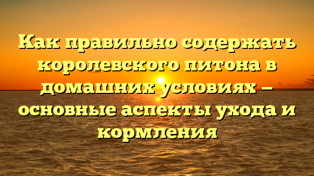 Как правильно содержать королевского питона в домашних условиях — основные аспекты ухода и кормления