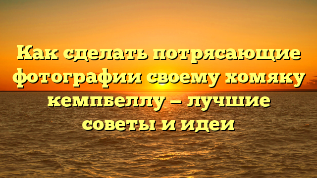 Как сделать потрясающие фотографии своему хомяку кемпбеллу — лучшие советы и идеи