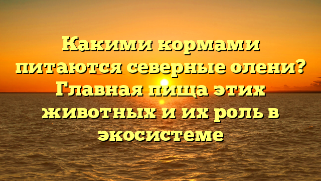 Какими кормами питаются северные олени? Главная пища этих животных и их роль в экосистеме