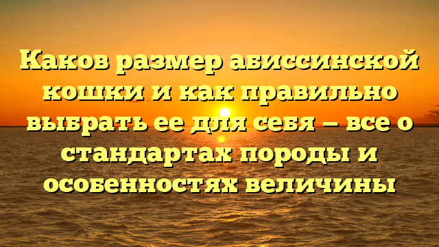 Каков размер абиссинской кошки и как правильно выбрать ее для себя — все о стандартах породы и особенностях величины