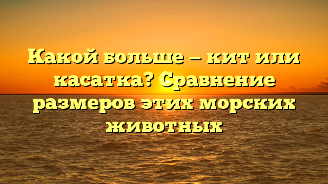 Какой больше — кит или касатка? Сравнение размеров этих морских животных