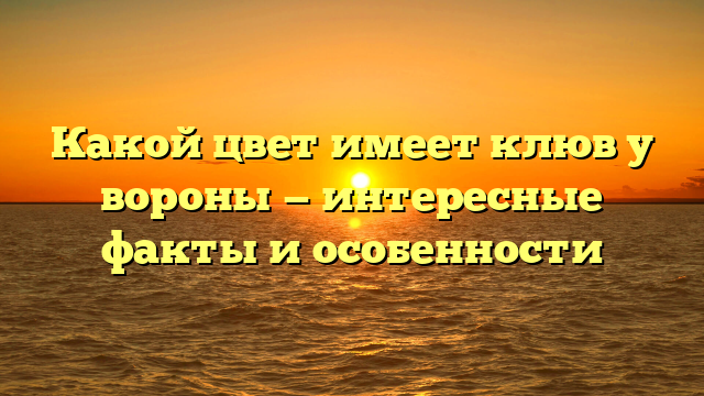 Какой цвет имеет клюв у вороны — интересные факты и особенности