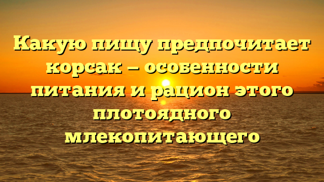 Какую пищу предпочитает корсак — особенности питания и рацион этого плотоядного млекопитающего