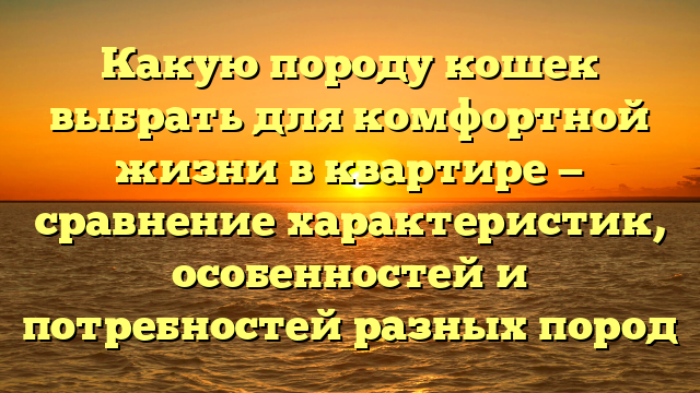 Какую породу кошек выбрать для комфортной жизни в квартире — сравнение характеристик, особенностей и потребностей разных пород