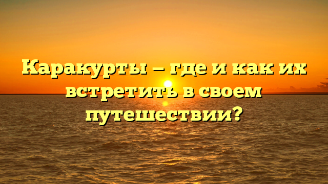 Каракурты — где и как их встретить в своем путешествии?