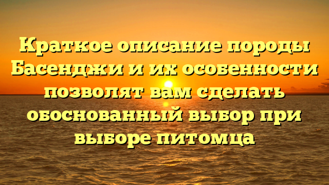 Краткое описание породы Басенджи и их особенности позволят вам сделать обоснованный выбор при выборе питомца