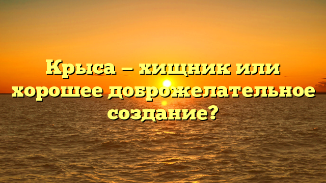 Крыса — хищник или хорошее доброжелательное создание?