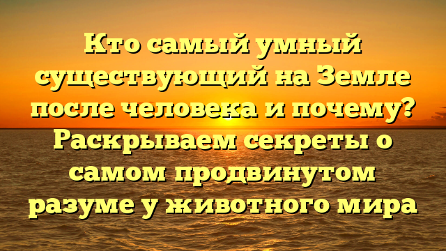 Кто самый умный существующий на Земле после человека и почему? Раскрываем секреты о самом продвинутом разуме у животного мира