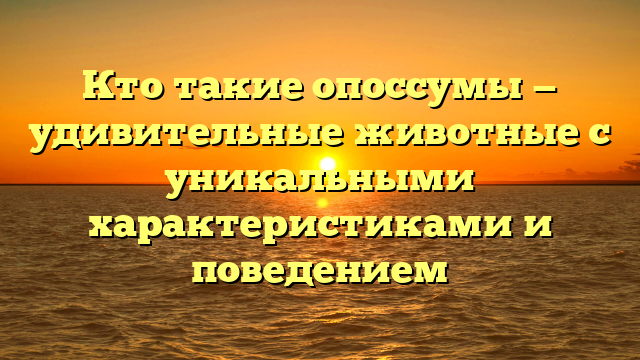 Кто такие опоссумы — удивительные животные с уникальными характеристиками и поведением