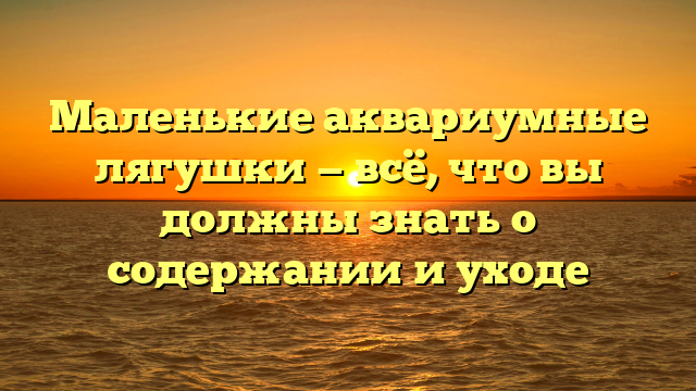 Маленькие аквариумные лягушки — всё, что вы должны знать о содержании и уходе
