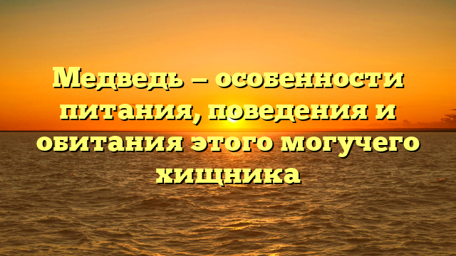 Медведь — особенности питания, поведения и обитания этого могучего хищника