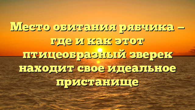 Место обитания рябчика — где и как этот птицеобразный зверек находит свое идеальное пристанище