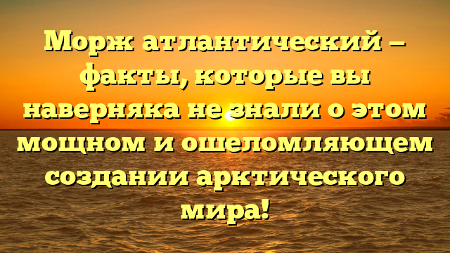 Морж атлантический — факты, которые вы наверняка не знали о этом мощном и ошеломляющем создании арктического мира!