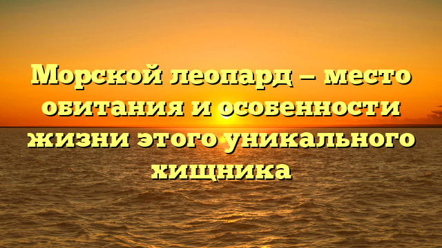 Морской леопард — место обитания и особенности жизни этого уникального хищника