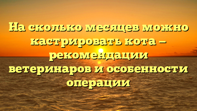 На сколько месяцев можно кастрировать кота — рекомендации ветеринаров и особенности операции