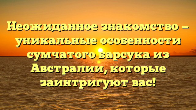 Неожиданное знакомство — уникальные особенности сумчатого барсука из Австралии, которые заинтригуют вас!