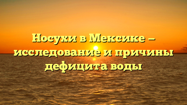 Носухи в Мексике — исследование и причины дефицита воды