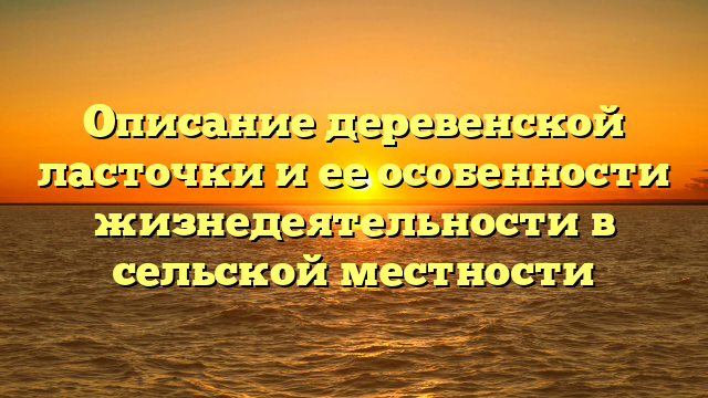 Описание деревенской ласточки и ее особенности жизнедеятельности в сельской местности