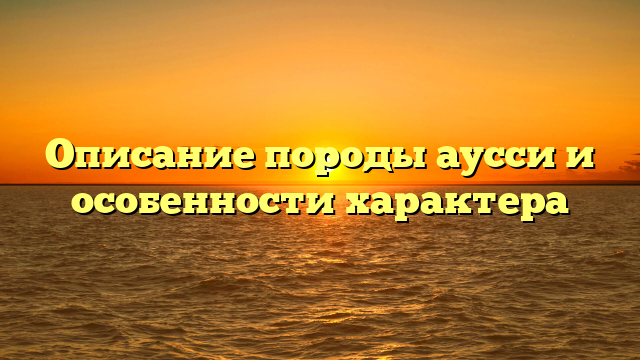 Описание породы аусси и особенности характера