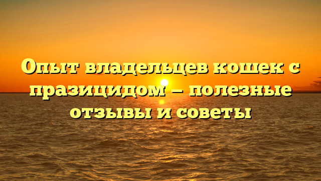 Опыт владельцев кошек с празицидом — полезные отзывы и советы
