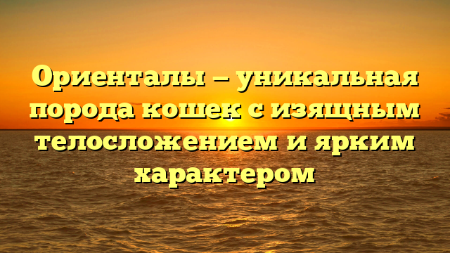 Ориенталы — уникальная порода кошек с изящным телосложением и ярким характером