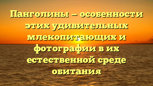 Панголины — особенности этих удивительных млекопитающих и фотографии в их естественной среде обитания