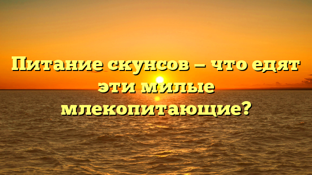 Питание скунсов — что едят эти милые млекопитающие?