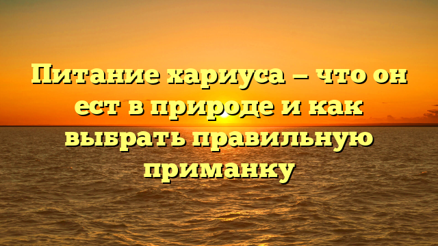 Питание хариуса — что он ест в природе и как выбрать правильную приманку