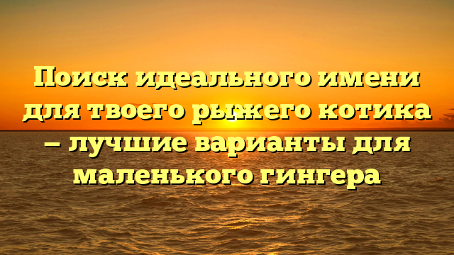 Поиск идеального имени для твоего рыжего котика — лучшие варианты для маленького гингера