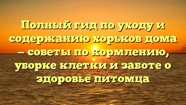 Полный гид по уходу и содержанию хорьков дома — советы по кормлению, уборке клетки и заботе о здоровье питомца
