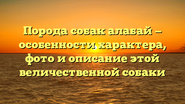 Порода собак алабай — особенности характера, фото и описание этой величественной собаки