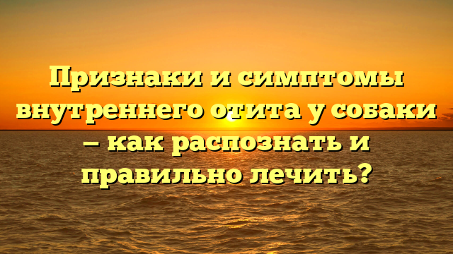 Признаки и симптомы внутреннего отита у собаки — как распознать и правильно лечить?
