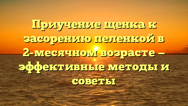 Приучение щенка к засорению пеленкой в 2-месячном возрасте — эффективные методы и советы