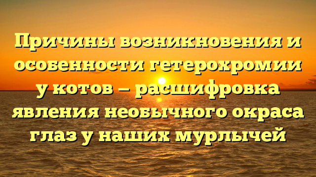 Причины возникновения и особенности гетерохромии у котов — расшифровка явления необычного окраса глаз у наших мурлычей