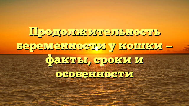 Продолжительность беременности у кошки — факты, сроки и особенности