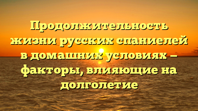 Продолжительность жизни русских спаниелей в домашних условиях — факторы, влияющие на долголетие