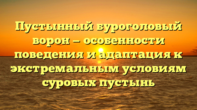 Пустынный буроголовый ворон — особенности поведения и адаптация к экстремальным условиям суровых пустынь