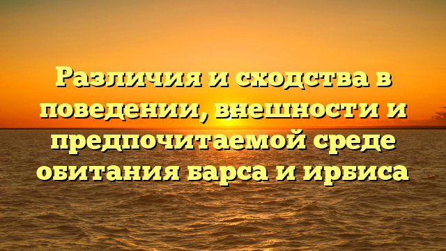 Различия и сходства в поведении, внешности и предпочитаемой среде обитания барса и ирбиса