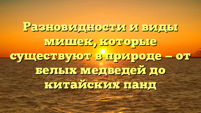 Разновидности и виды мишек, которые существуют в природе — от белых медведей до китайских панд