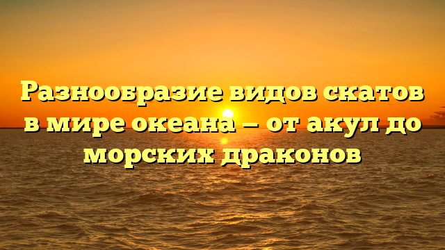 Разнообразие видов скатов в мире океана — от акул до морских драконов