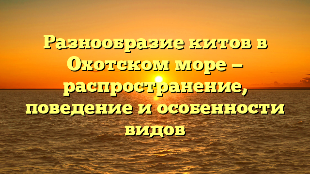 Разнообразие китов в Охотском море — распространение, поведение и особенности видов