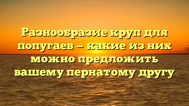 Разнообразие круп для попугаев — какие из них можно предложить вашему пернатому другу